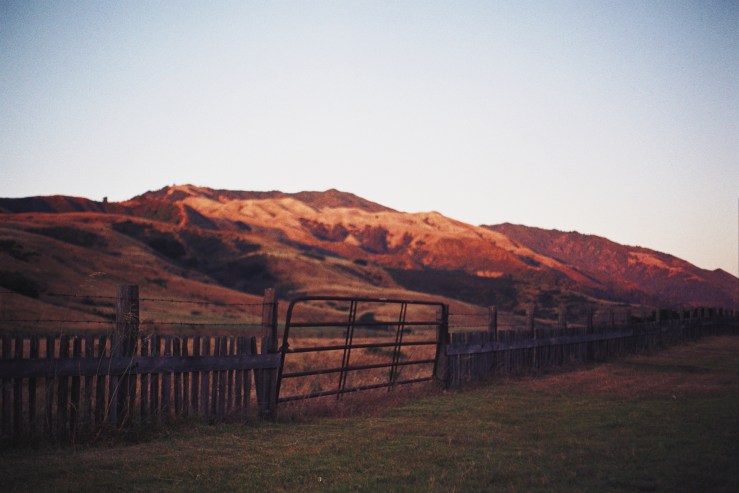 Processed with VSCOcam with lv01 preset