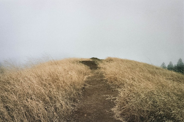 Autosave-File vom d-lab2/3 der AgfaPhoto GmbH