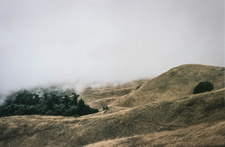 Autosave-File vom d-lab2/3 der AgfaPhoto GmbH