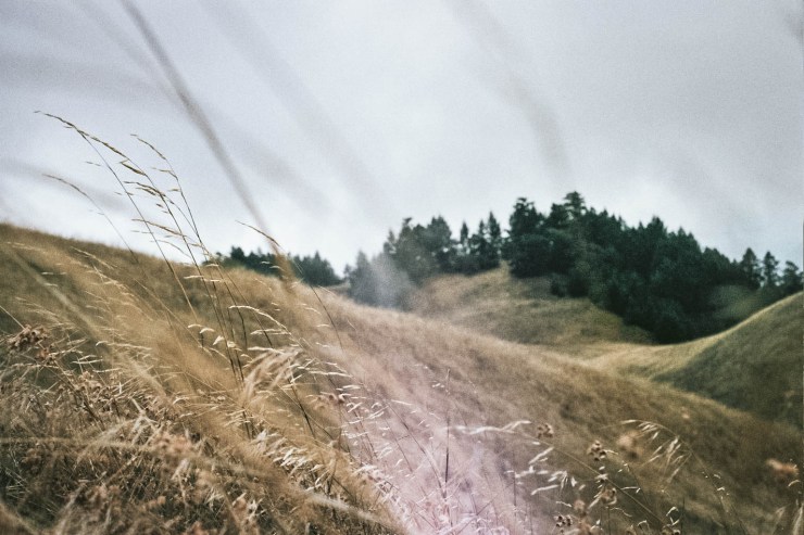 Autosave-File vom d-lab2/3 der AgfaPhoto GmbH