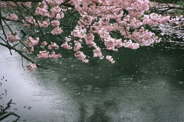 008260140032-2 copy-2